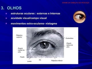 EXAME DA CABEÇA E DO PESCOÇO



3. OLHOS
 ■   estruturas oculares : externas e Internas
 ■   acuidade visual/campo visual
 ■   movimentos extra-oculares- nistagmo



         Pálpebra
         superior
                                                          Esclerótica


                                                           Ângulo
                                                           lateral do
                                                           olho
           Ângulo
           medial do
           olho


              Pupila
                               Íris   Pálpebra inferior
                       Limbo
 