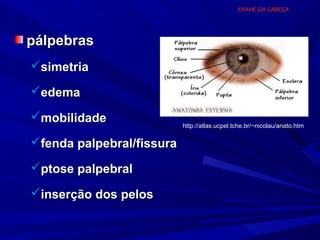 EXAME DA CABEÇA




pálpebras
simetria

edema

mobilidade
                           http://atlas.ucpel.tche.br/~nicolau/anato.htm

fenda palpebral/fissura

ptose palpebral

inserção dos pelos
 