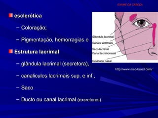 EXAME DA CABEÇA



esclerótica

– Coloração;

– Pigmentação, hemorragias e

Estrutura lacrimal

– glândula lacrimal (secretora),
                                         http://www.msd-brazil.com/

– canaliculos lacrimais sup. e inf.,

– Saco

– Ducto ou canal lacrimal (excretores)
 