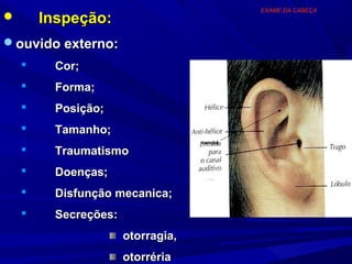 EXAME DA CABEÇA
       Inspeção:
ouvido externo:
         Cor;
         Forma;
         Posição;
         Tamanho;
                                    concha
         Traumatismo
         Doenças;
         Disfunção mecanica;
         Secreções:
                       otorragia,
                       otorréria
 