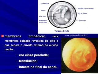 Parte Flácida


                                                                       Processo curto do martelo
                            Bigorna

                                                                       Alça do martelo

                          Parte tensa

                          Proeminênci                                   Cone de luz
                          a do tímpano




                                             Tímpano Direito

                                                        www.pediatrainforma.it/.../
membrana         timpânica:                 uma
membrana delgada revestida de pele e
que separa o ouvido externo do ouvido
médio.

         – cor cinza perolada;
         – translúcida;
         – intacta no final do canal.
 