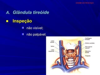 EXAME DO PESCOÇO




A. Glândula tireóide

■   Inspeção
         não visível;
         não palpável.
 