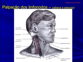EXAME DO PESCOÇO


Palpação dos linfonodos – cabeça e pescoço
 