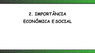 2. IMPORTÂNCIA
ECONÔMICA E SOCIAL
 