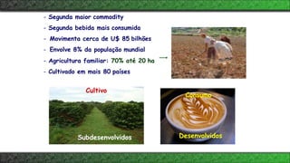 Consumo
Cultivo
Subdesenvolvidos Desenvolvidos
- Segunda maior commodity
- Segunda bebida mais consumida
- Movimenta cerca de U$ 85 bilhões
- Envolve 8% da população mundial
- Agricultura familiar: 70% até 20 ha
- Cultivado em mais 80 países
 