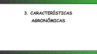 3. CARACTERÍSTICAS
AGRONÔMICAS
 