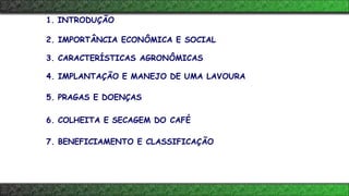 1. INTRODUÇÃO
2. IMPORTÂNCIA ECONÔMICA E SOCIAL
3. CARACTERÍSTICAS AGRONÔMICAS
4. IMPLANTAÇÃO E MANEJO DE UMA LAVOURA
5. PRAGAS E DOENÇAS
6. COLHEITA E SECAGEM DO CAFÉ
7. BENEFICIAMENTO E CLASSIFICAÇÃO
 