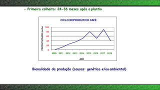 CICLO REPRODUTIVO CAFÉ
100
80
60
40
20
0
2009 2011 2012 2013 2014 2015 2016 2017 2018
ANO
PRODUTIVIDADE
(sc/ha
- Primeira colheita: 24-36 meses após o plantio
Bienalidade da produção (causas: genética e/ou ambiental)
 