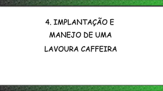 4. IMPLANTAÇÃO E
MANEJO DE UMA
LAVOURA CAFFEIRA
 