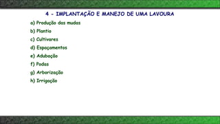 a) Produção das mudas
b) Plantio
c) Cultivares
d) Espaçamentos
e) Adubação
f) Podas
g) Arborização
h) Irrigação
4 - IMPLANTAÇÃO E MANEJO DE UMA LAVOURA
 