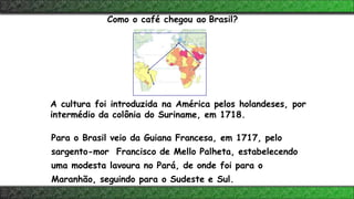 A cultura foi introduzida na América pelos holandeses, por
intermédio da colônia do Suriname, em 1718.
Para o Brasil veio da Guiana Francesa, em 1717, pelo
sargento-mor Francisco de Mello Palheta, estabelecendo
uma modesta lavoura no Pará, de onde foi para o
Maranhão, seguindo para o Sudeste e Sul.
Como o café chegou ao Brasil?
 
