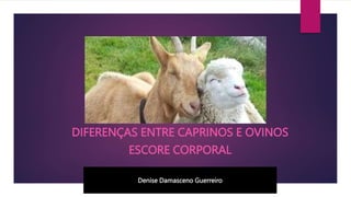 DIFERENÇAS ENTRE CAPRINOS E OVINOS
ESCORE CORPORAL
Denise Damasceno Guerreiro
 