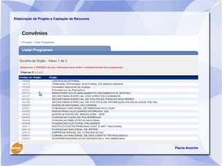 Elaboração de Projeto e Captação de Recursos



    Convênios




                                               Flavia Amorim
 