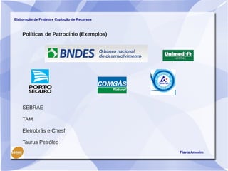 Elaboração de Projeto e Captação de Recursos



    Políticas de Patrocínio (Exemplos)




    SEBRAE

    TAM

    Eletrobrás e Chesf

    Taurus Petróleo
                                               Flavia Amorim
 
