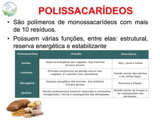 POLISSACARÍDEOS
• São polímeros de monossacarídeos com mais
de 10 resíduos.
• Possuem várias funções, entre elas: estrutural,
reserva energética e estabilizante
 