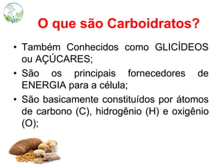 O que são Carboidratos?
• Também Conhecidos como GLICÍDEOS
ou AÇÚCARES;
• São os principais fornecedores de
ENERGIA para a célula;
• São basicamente constituídos por átomos
de carbono (C), hidrogênio (H) e oxigênio
(O);
 
