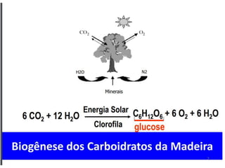 Carboidratos
►Composição
– São formados por C, H, O.
►Fórmula Geral
Cn(H2O)n n≥ 3
 