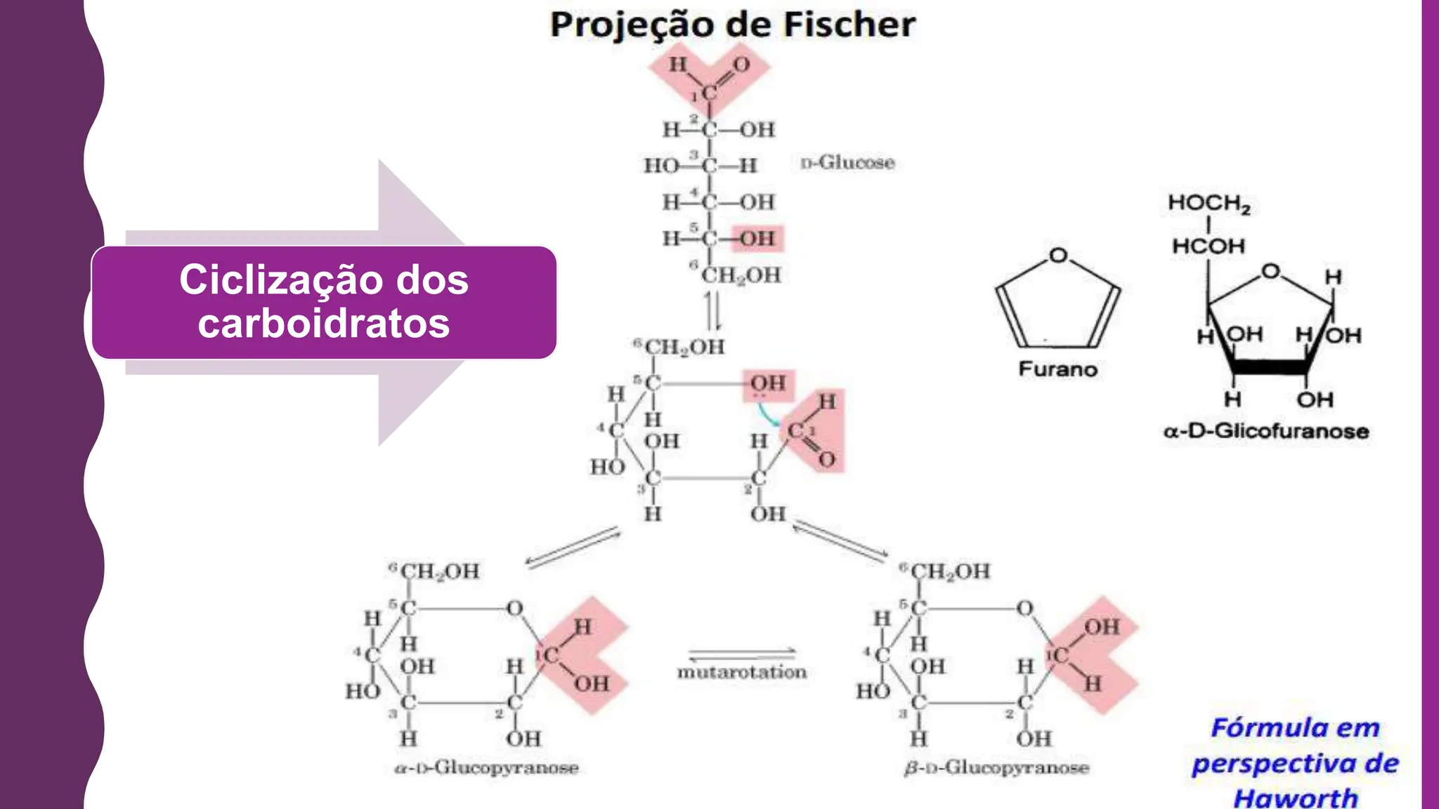 AULA CARBOIDRATOS - BIOQUÍMICA DE ALIMENTOS.ppt