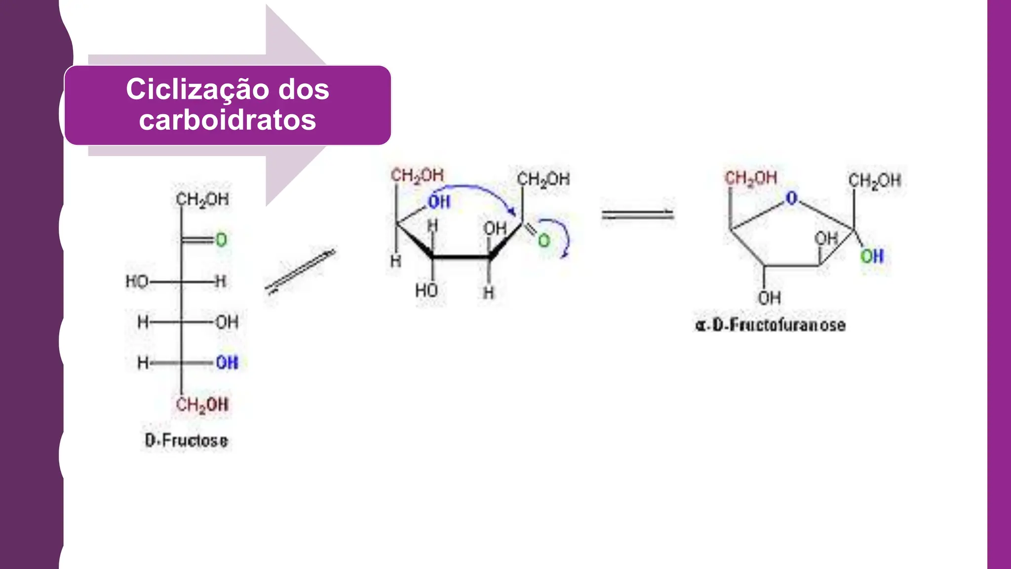 AULA CARBOIDRATOS - BIOQUÍMICA DE ALIMENTOS.ppt