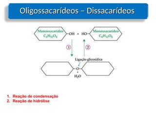 Oligossacarídeos – Dissacarídeos
Oligossacarídeos – Dissacarídeos
1. Reação de condensação
2. Reação de hidrólise
 