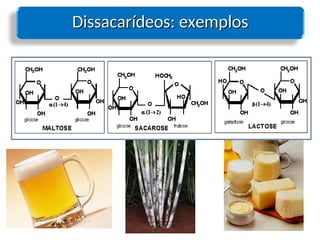 Dissacarídeos: exemplos
Dissacarídeos: exemplos
 