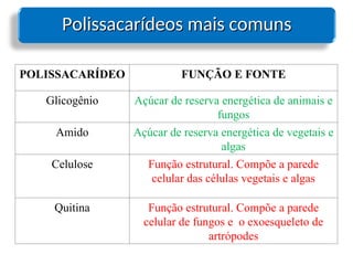 Polissacarídeos mais comuns
Polissacarídeos mais comuns
POLISSACARÍDEO FUNÇÃO E FONTE
Glicogênio Açúcar de reserva energética de animais e
fungos
Amido Açúcar de reserva energética de vegetais e
algas
Celulose Função estrutural. Compõe a parede
celular das células vegetais e algas
Quitina Função estrutural. Compõe a parede
celular de fungos e o exoesqueleto de
artrópodes
 