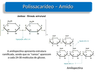 Polissacarídeo – Amido
Polissacarídeo – Amido
Amilopectina
A amilopectina apresenta estrutura
ramificada, sendo que os "ramos" aparecem
a cada 24-30 moléculas de glicose.
 