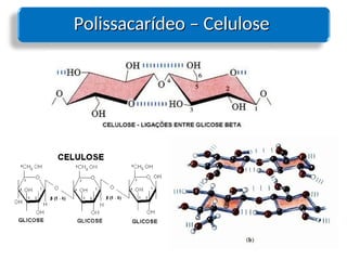 Polissacarídeo – Celulose
Polissacarídeo – Celulose
 