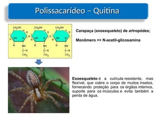 Polissacarídeo – Quitina
Polissacarídeo – Quitina
Carapaça (exoesqueleto) de artropódes;
Monômero >> N-acetil-glicosamina
Exoesqueleto é a cutícula resistente, mas
flexível, que cobre o corpo de muitos insetos,
fornecendo proteção para os órgãos internos,
suporte para os músculos e evita também a
perda de água.
 