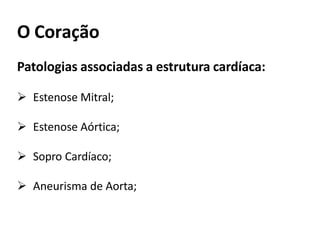 O Coração
Patologias associadas a estrutura cardíaca:
 Estenose Mitral;
 Estenose Aórtica;
 Sopro Cardíaco;
 Aneurisma de Aorta;
 