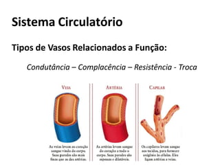 Sistema Circulatório
Tipos de Vasos Relacionados a Função:
Condutância – Complacência – Resistência - Troca
 