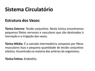 Sistema Circulatório
Estrutura dos Vasos:
Túnica Externa: Tecido conjuntivo. Nesta túnica encontramos
pequenos filetes nervosos e vasculares que são destinados à
inervação e a irrigação dos vasos;
Túnica Média: É a camada intermediária composta por fibras
musculares lisas e pequena quantidade de tecido conjuntivo
elástico. Encontrada na maioria das artérias do organismo;
Túnica Íntima: Endotélio.
 
