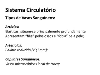 Sistema Circulatório
Tipos de Vasos Sanguíneos:
Artérias:
Elásticas, situam-se principalmente profundamente
Apresentam “filia” pelos ossos e “fobia” pela pele;
Arteríolas:
Calibre reduzido (<0,5mm);
Capilares Sanguíneos:
Vasos microscópicos local de troca;
 
