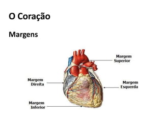 O Coração
Margens
 