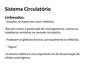Sistema Circulatório
Linfonodos:
- Situados no trajeto dos vasos linfáticos;
-Barreira contra a penetração de microrganismos, toxinas ou
substâncias estranhas na corrente circulatória.
- Produzem os glóbulos brancos, principalmente os linfócitos.
- “ínguas”.
-O sistema linfático é uma importante via de disseminação de
células cancerígenas.
 