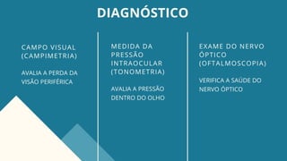 DIAGNÓSTICO
MEDIDA DA
PRESSÃO
INTRAOCULAR
(TONOMETRIA)
AVALIA A PRESSÃO
DENTRO DO OLHO
EXAME DO NERVO
ÓPTICO
(OFTALMOSCOPIA)
VERIFICA A SAÚDE DO
NERVO ÓPTICO
CAMPO VISUAL
(CAMPIMETRIA)
AVALIA A PERDA DA
VISÃO PERIFÉRICA
 