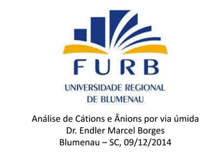 Análise de Cátions e Ânions por via úmida 
Dr. Endler Marcel Borges 
Blumenau – SC, 09/12/2014 
 