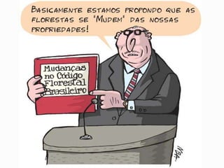 Aula código florestal