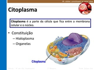 Citoplasma 
Citoplasma é a parte da célula que fica entre a membrana 
celular e o núcleo. 
• Constituição 
– Hialoplasma 
– Organelas 
As células constituem os seres vivos 
Citoplasma 
Ciências – 8º ano Ens. Fundamental 1º Bimestre Profa. Rebeca Vale 
 