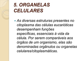 5. ORGANELAS
CELULARES
 As diversas estruturas presentes no
citoplasma das células eucarióticas
desempenham funções
específicas, essenciais à vida da
célula. Por serem comparáveis aos
órgãos de um organismo, elas são
denominadas orgânulos ou organelas
celulares/citoplasmáticas.
 