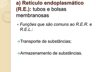a) Retículo endoplasmático
(R.E.): tubos e bolsas
membranosas
 Funções que são comuns ao R.E.R. e
R.E.L.:
Transporte de substâncias;
Armazenamento de substâncias.
 