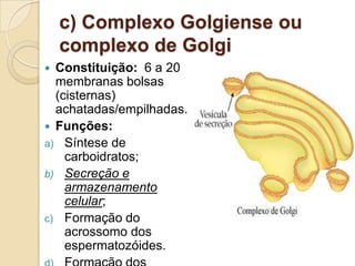 c) Complexo Golgiense ou
complexo de Golgi
 Constituição: 6 a 20
membranas bolsas
(cisternas)
achatadas/empilhadas.
 Funções:
a) Síntese de
carboidratos;
b) Secreção e
armazenamento
celular;
c) Formação do
acrossomo dos
espermatozóides.
 