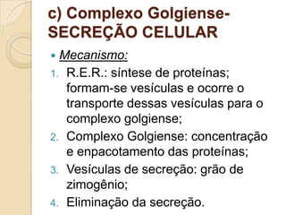 c) Complexo Golgiense-
SECREÇÃO CELULAR
 Mecanismo:
1. R.E.R.: síntese de proteínas;
formam-se vesículas e ocorre o
transporte dessas vesículas para o
complexo golgiense;
2. Complexo Golgiense: concentração
e enpacotamento das proteínas;
3. Vesículas de secreção: grão de
zimogênio;
4. Eliminação da secreção.
 
