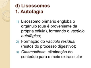 d) Lisossomos
1. Autofagia
1) Lisossomo primário engloba o
orgânulo (que é proveniente da
própria célula), formando o vacúolo
autofágico;
2) Formação do vacúolo residual
(restos do processo digestivo);
3) Clasmocitose: eliminação do
conteúdo para o meio extracelular
 