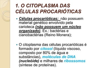 1. O CITOPLASMA DAS
CÉLULAS PROCARIÓTICAS
 Células procarióticas: não possuem
material genético envolvido pela
carioteca (não possuem um núcleo
organizado). Ex.: bactérias e
cianobactérias (Reino Monera);
 O citoplasma das células procarióticas é
formado por citosol (líquido viscoso,
composto por 80% de água e
substâncias), moléculas de DNA
(nucleóide) e milhares de ribossomos
(síntese de proteínas).
 