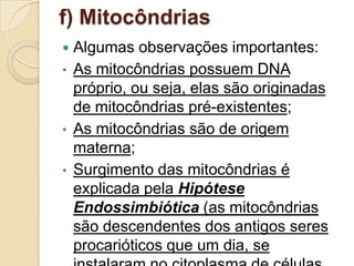 f) Mitocôndrias
 Algumas observações importantes:
• As mitocôndrias possuem DNA
próprio, ou seja, elas são originadas
de mitocôndrias pré-existentes;
• As mitocôndrias são de origem
materna;
• Surgimento das mitocôndrias é
explicada pela Hipótese
Endossimbiótica (as mitocôndrias
são descendentes dos antigos seres
procarióticos que um dia, se
 