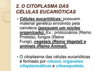 2. O CITOPLASMA DAS
CÉLULAS EUCARIÓTICAS
 Células eucarióticas: possuem
material genético envolvido pela
carioteca (possuem um núcleo
organizado). Ex.: protozoários (Reino
Protista), fungos (Reino
Fungi), vegetais (Reino Vegetal) e
animais (Reino Animal).
 O citoplasma das células eucarióticas
é formado por citosol, organelas
citoplasmáticas e citoesqueleto.
 