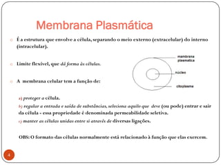 Membrana Plasmática
o É a estrutura que envolve a célula, separando o meio externo (extracelular) do interno
(intracelular).
o Limite flexível, que dá forma às células.
o A membrana celular tem a função de:
a) proteger a célula.
b) regular a entrada e saída de substâncias,seleciona aquilo que deve (ou pode) entrar e sair
da célula - essa propriedade é denominada permeabilidade seletiva.
c) manter as células unidas entre si através de diversas ligações.
OBS: O formato das células normalmente está relacionado à função que elas exercem.
4
 