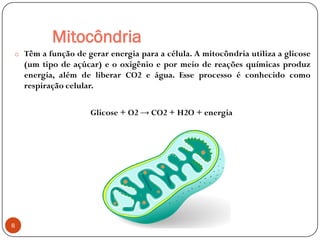 Mitocôndria
o Têm a função de gerar energia para a célula. A mitocôndria utiliza a glicose
(um tipo de açúcar) e o oxigênio e por meio de reações químicas produz
energia, além de liberar CO2 e água. Esse processo é conhecido como
respiração celular.
Glicose + O2 → CO2 + H2O + energia
8
 