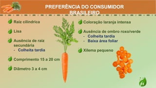 15
Raiz cilíndrica
Lisa
Ausência de raiz
secundária
- Colheita tardia
Comprimento 15 a 20 cm
Diâmetro 3 a 4 cm
PREFERÊNCIA DO CONSUMIDOR
BRASILEIRO
Coloração laranja intensa
Ausência de ombro roxo/verde
- Colheita tardia
- Baixa área foliar
Xilema pequeno
 